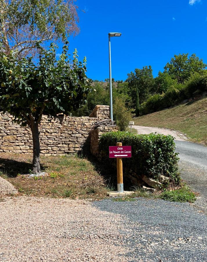 Chambre Au Calme Avec Spa Privatif Gratuit Sud Aveyron Les Palmiers Des Causses Saint-Rome-de-Tarn Bagian luar foto